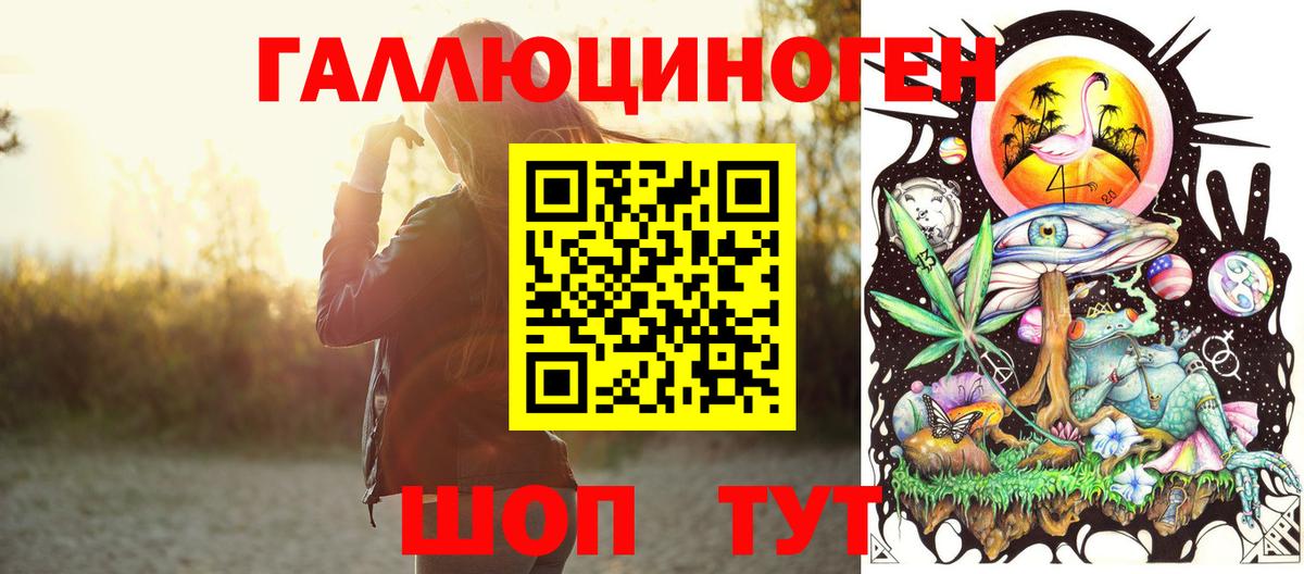 Галлюциногенные грибы Psilocybe Искитим